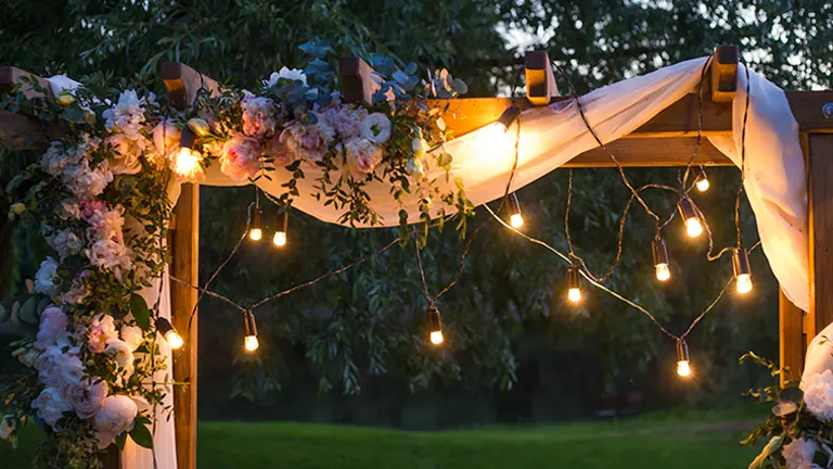 Party Lawn