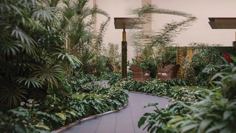 Reflexology Walk